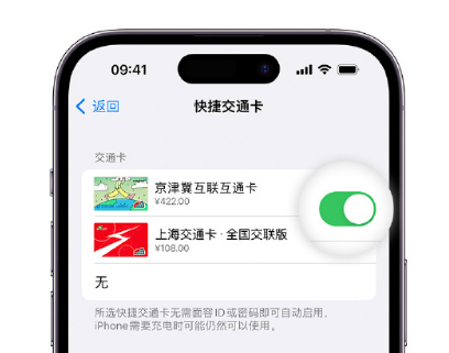 祥云apple维修点分享iPhone上更换Apple Pay快捷交通卡手绘卡面 