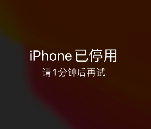 祥云苹果手机维修分享:iPhone 显示“不可用”或“已停用”怎么办？还能保留数据吗？ 