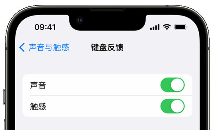 祥云苹果手机维修分享iPhone 14触感键盘使用方法 