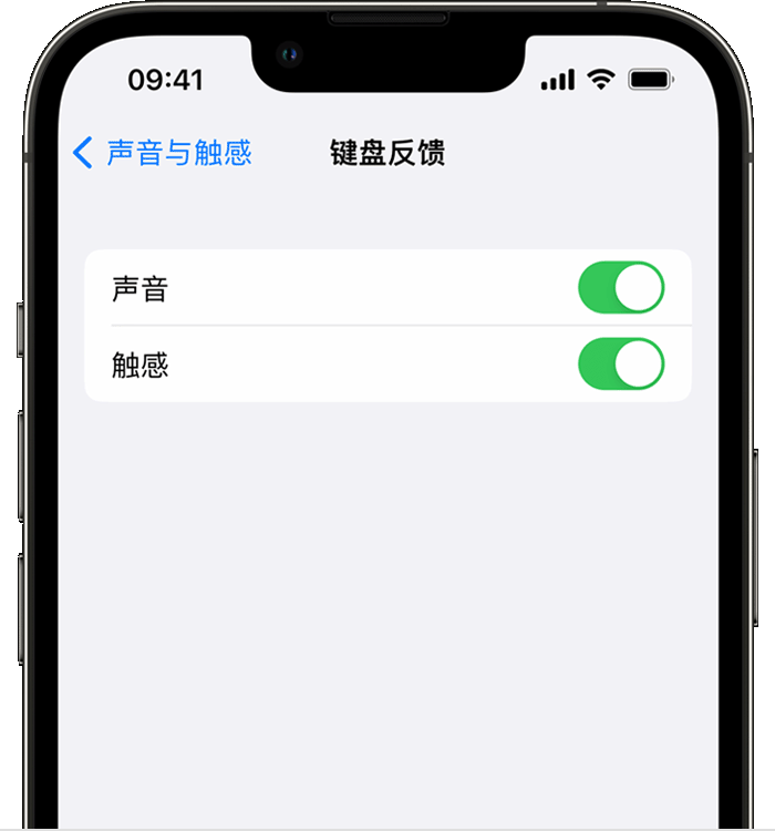 祥云苹果14维修店分享如何在 iPhone 14 机型中使用触感键盘 