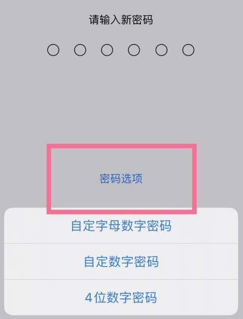 祥云苹果14维修分享iPhone 14plus设置密码的方法 