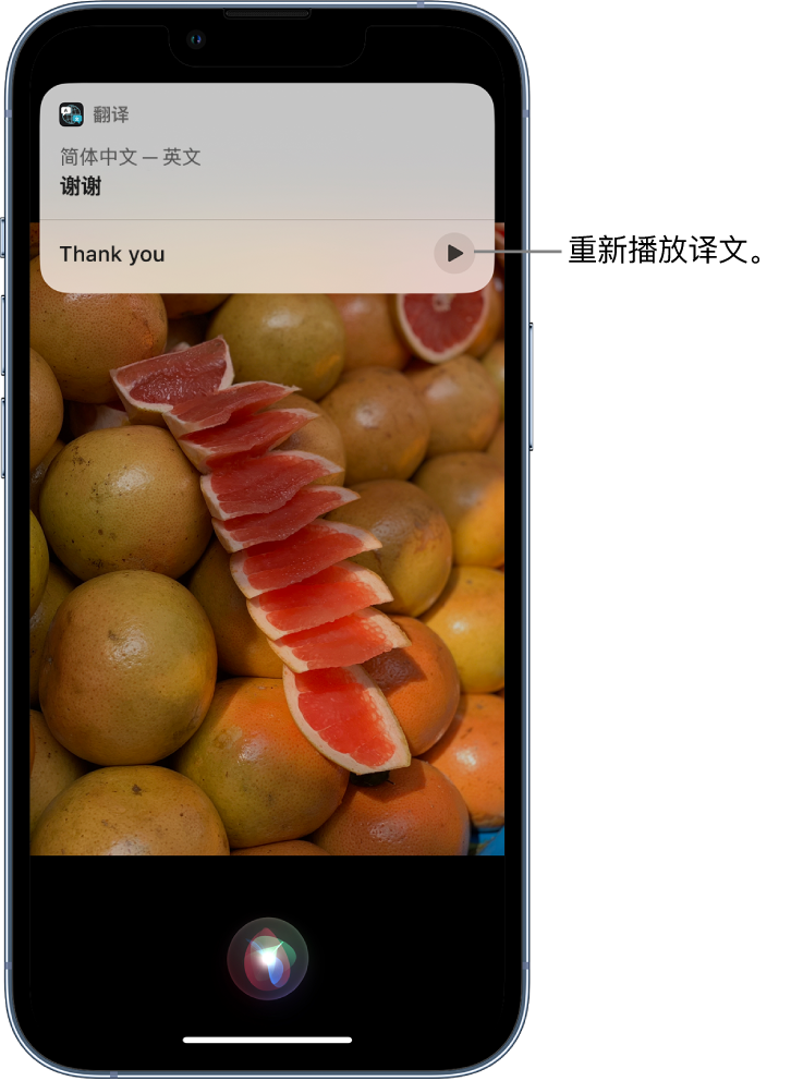 祥云苹果14维修分享 iPhone 14 机型中使用 Siri：了解 Siri 能帮你做什么 