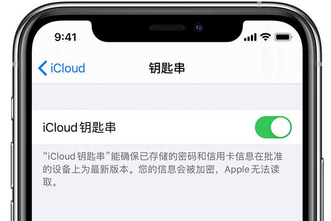 祥云苹果手机维修分享在 iPhone 上开启 iCloud 钥匙串之后会储存哪些信息 